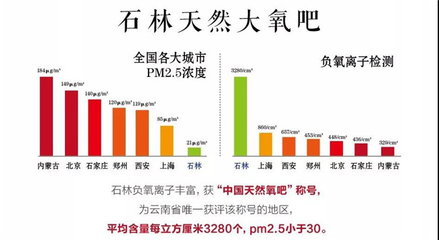 大美云南,旅居石林,凱旋怡景詩意棲息地產(chǎn)品發(fā)布會(huì)圓滿落幕